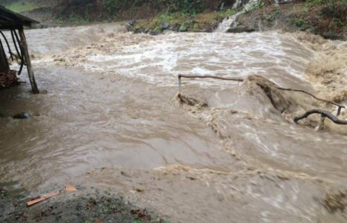 Закарпатской области снова угрожает паводок: уровень воды в Тисе поднялся на 70 см