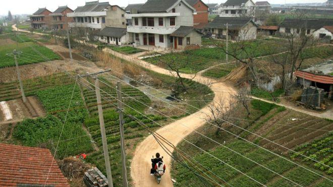 У китайському селі понад 160 пар одночасно подали на розлучення