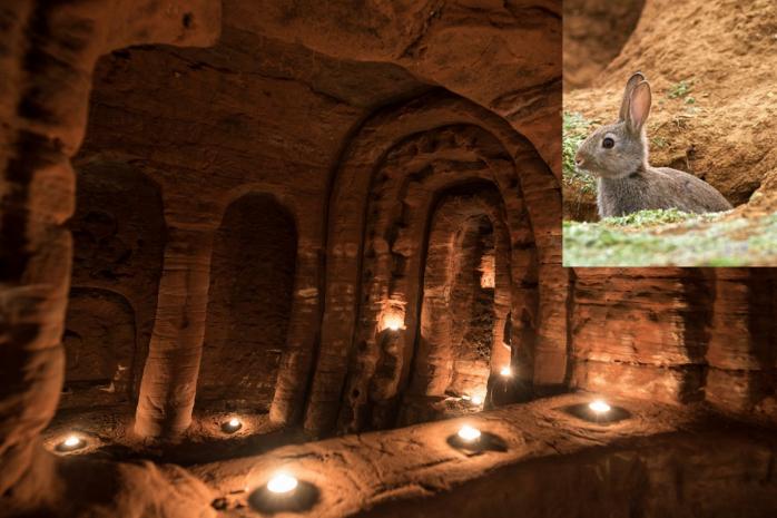 Кролячі нори привели до таємної 700-річної печери тамплієрів у Британії (ФОТО)