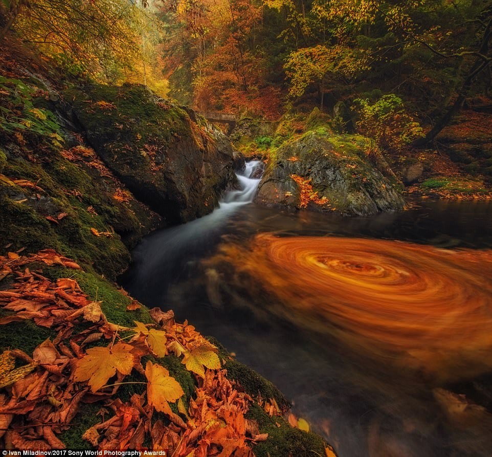 6. Лісу у балканських горах, осінь 2016 року