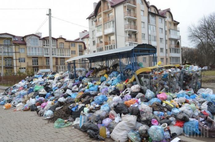 Как очистить Львов: более 140 жителей попытаются неделю не продуцировать мусор