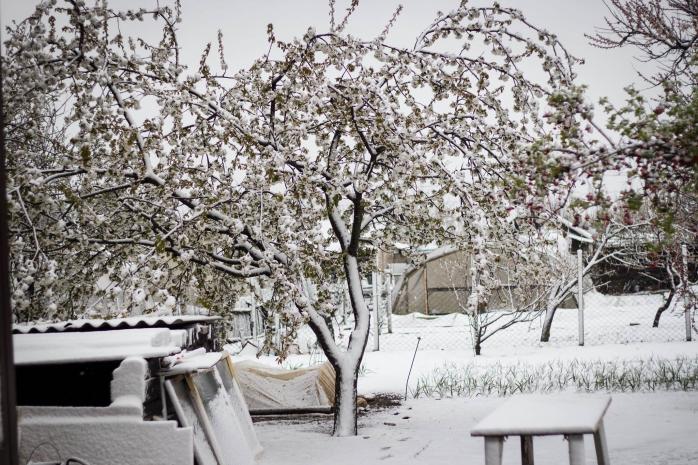 Сніг випав в окупованому Криму (ФОТО, ВІДЕО)
