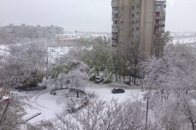Наслідки снігопаду: в Запоріжжі впали сотні дерев, у Харкові та Дніпрі обмежено рух (ФОТО, ВІДЕО)
