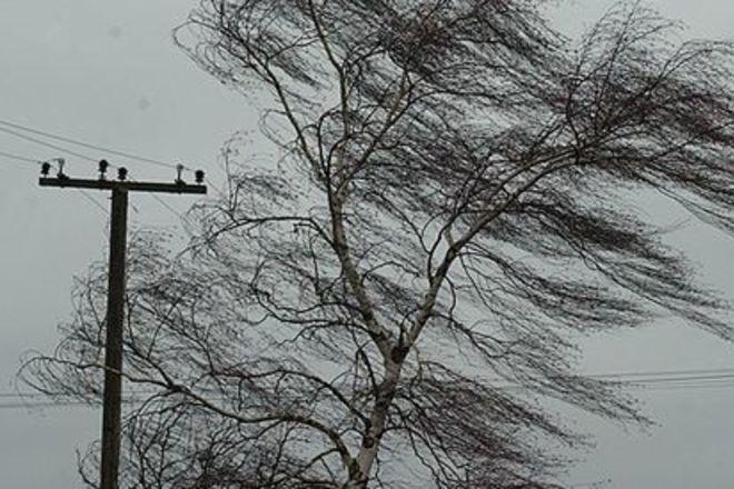Непогода в Украине унесла жизни 7 человек