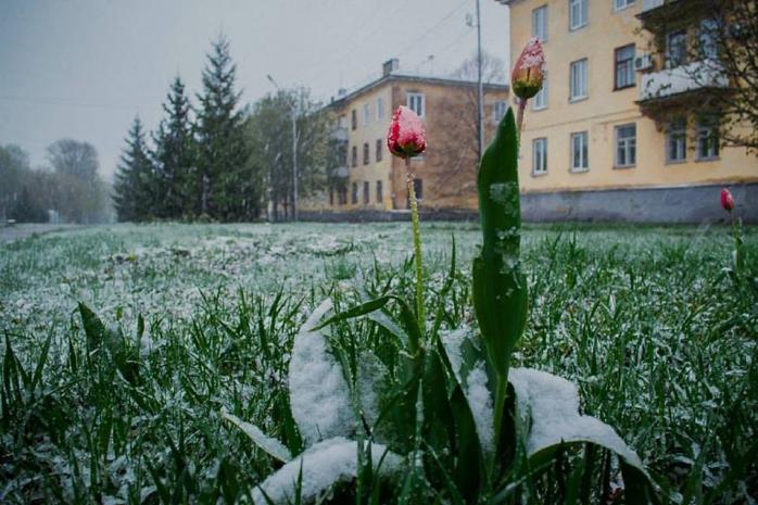 Одеську область накриє снігом, зимова погода протримається до 23 квітня