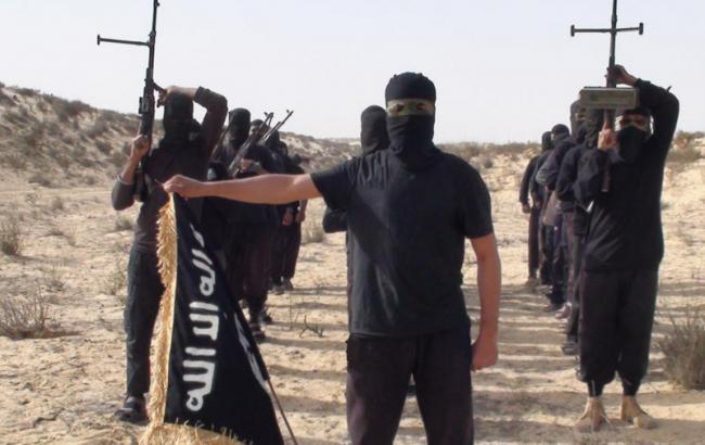 Армия Египта сообщает о ликвидации трех главарей ИГИЛ на Синайском полуострове