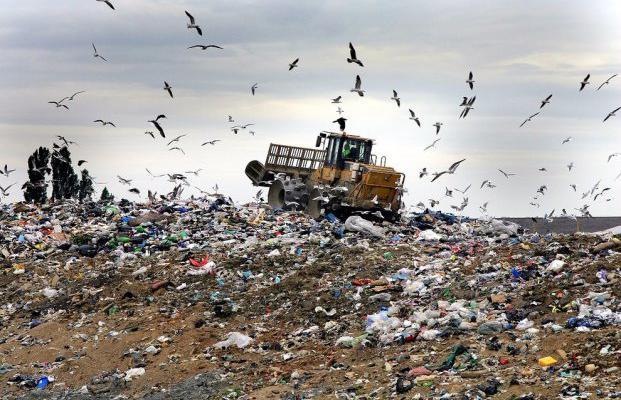 Власти временно решили проблему львовского мусора
