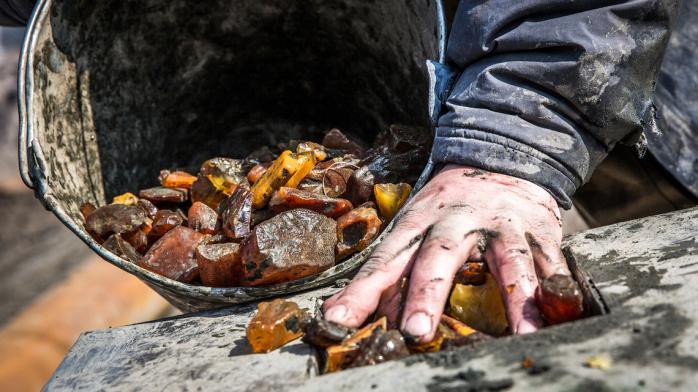 Житомирский облсовет создал два предприятия для легальной добычи янтаря