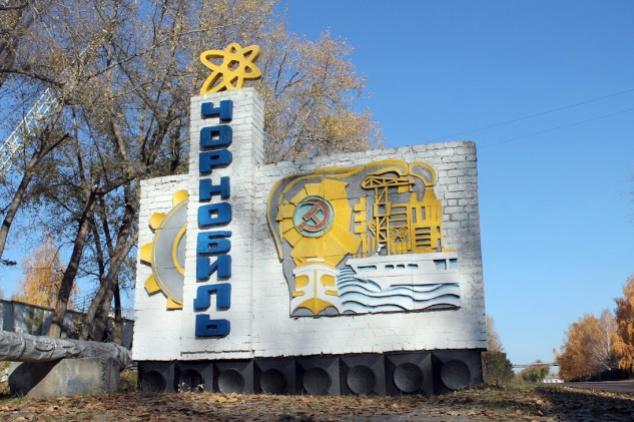 На Одесчине задержали грузовик с радиоактивной древесиной (ФОТО)