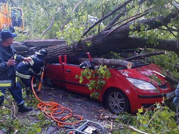 Тримайтеся подалі від дерев: у Києві оголошено штормове попередження