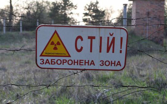 В правительстве анонсировали строительство солнечной электростанции в Чернобыльской зоне