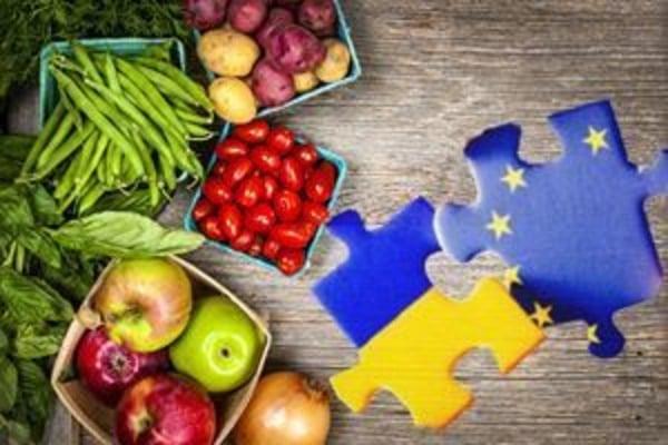 В Євросоюзі погодили торгові квоти для України