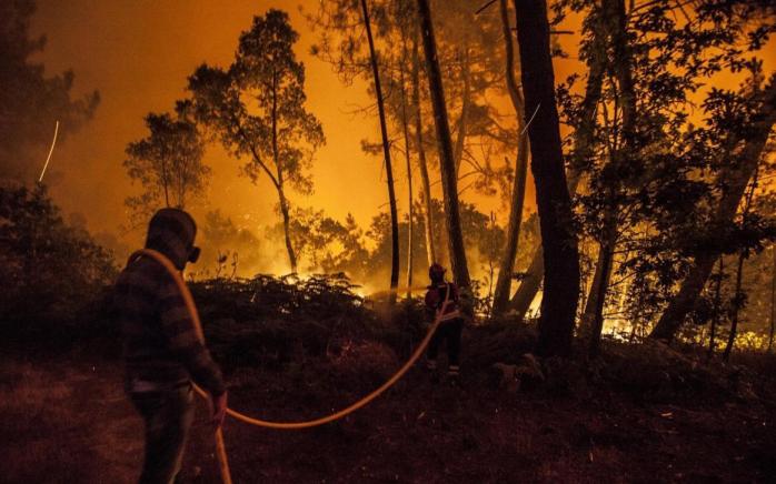 Внаслідок лісових пожеж у Португалії загинуло 24 людини (ВІДЕО)