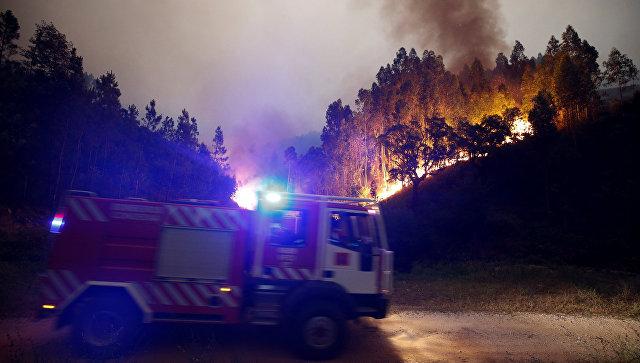 Лесные пожары в Португалии унесли жизни уже почти 60 человек