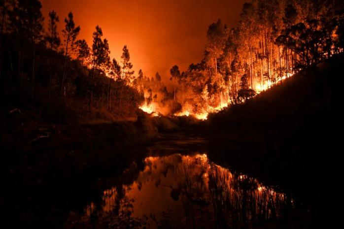 Во время тушения лесного пожара в Португалии пострадали восемь пожарных