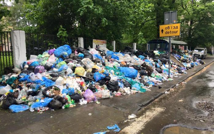 Во Львове есть свыше 8,5 тыс. тонн мусора, который некуда вывезти — горсовет