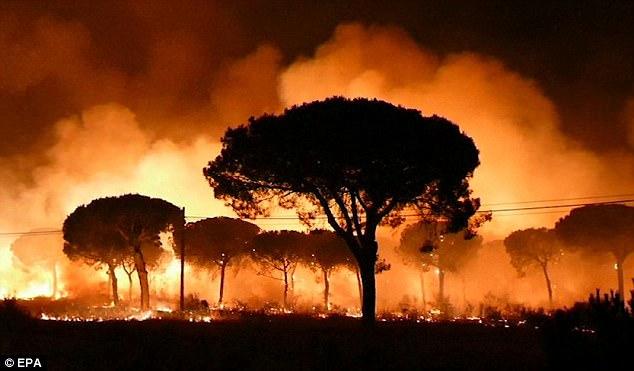 Лесные пожары охватили Испанию: идет эвакуация населения (ФОТО, ВИДЕО)