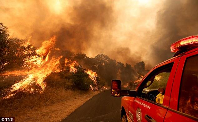 В Калифорнии вспыхнули лесные пожары: идет эвакуация детей из летних лагерей (ФОТО, ВИДЕО)