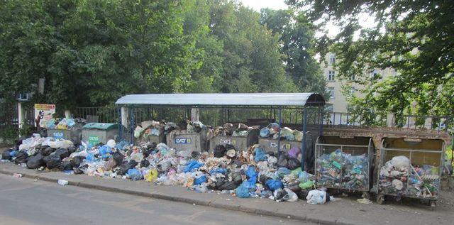 Правительство выделило 50 млн грн на вывоз мусора из Львова