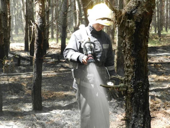 В Херсонской области на территории лесничества вспыхнул пожар