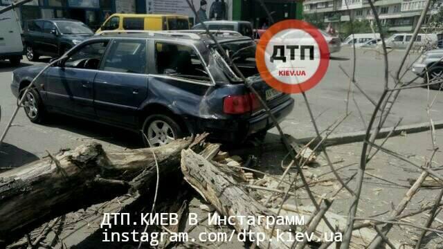 В Киеве дерево упало на машину, госпитализирован ребенок (ФОТО)