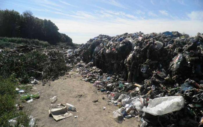 На Київщині невідомі вивантажили 40 тонн львівського сміття 