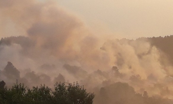 Фото: Курорти Хорватії та Чорногорії охоплені лісовими пожежами