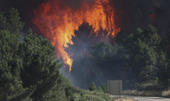 Фото: Курорти Хорватії та Чорногорії охоплені лісовими пожежами