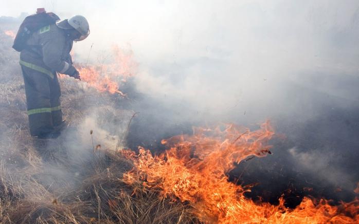 На військовому полігоні в Дніпропетровській області спалахнула сильна пожежа