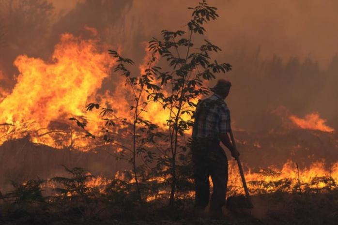 Лесные массивы Португалии снова в огне: идет эвакуация людей и тушение пожара (ФОТО, ВИДЕО)