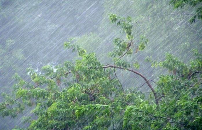 На Закарпатье объявили штормовое предупреждение, вода в реках поднялась более чем на метр