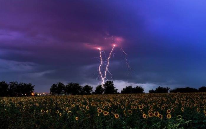 Погода в Україні на 29 липня: дощі не очікуються лише в західних областях