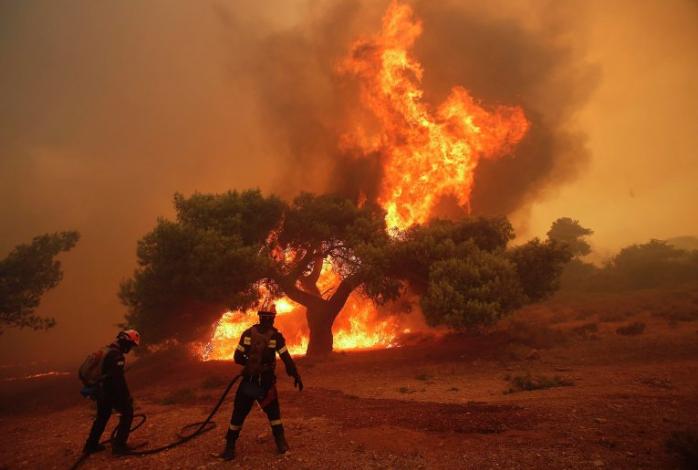 В Италии пожарные поджигали леса для получения премий за их тушение