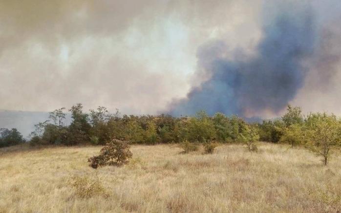 В лесах Николаевской области произошел масштабный пожар (ФОТО)