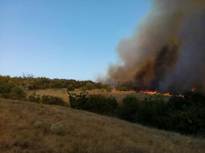 ГСЧС: Лесные пожары в Николаевской области вызваны поджогами