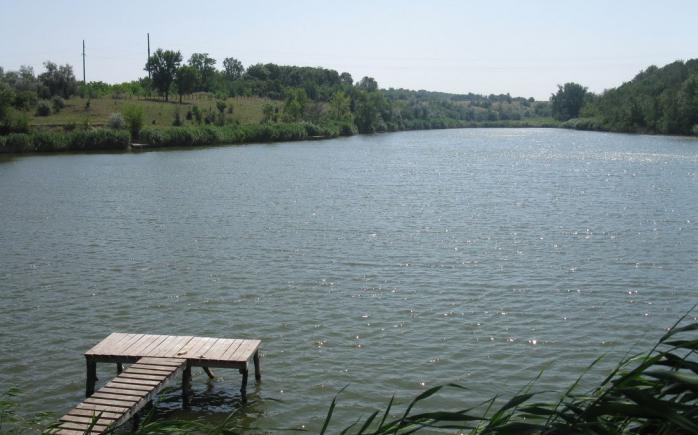 У Кіровоградській області в ставку втопилися четверо осіб, двоє з них — діти