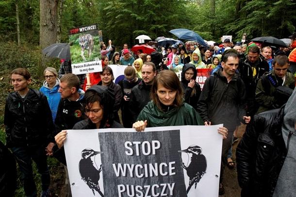В Польше экологи со всей Европы протестуют против вырубки Беловежской пущи