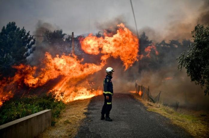 Правоохоронці Португалії затримали понад 60 підозрюваних у підпалах лісів