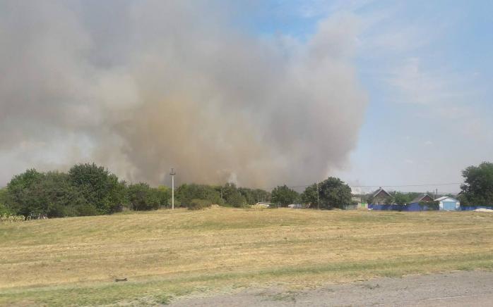 На Днепропетровщине масштабный пожар: огонь охватил 55 га лесного массива (ФОТО, ВИДЕО)