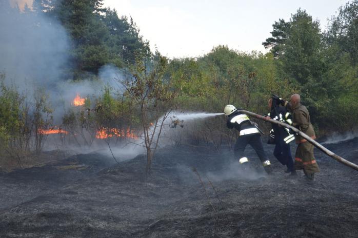 Масштабные лесные пожары в трех областях Украины локализованы