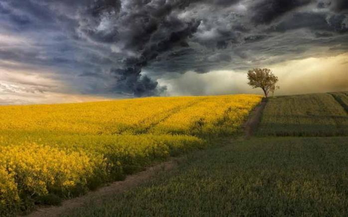 Погода на 22 августа: дожди с грозами пройдут почти по всей территории Украины (КАРТА)