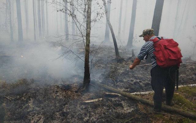 Спасатели локализовали пожар на территории природного заповедника на Житомирщине (ФОТО)