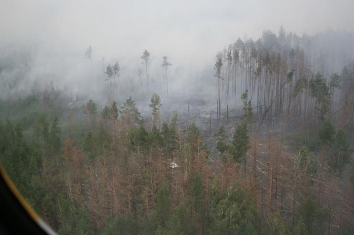 Пожар в заповеднике на Житомирщине ликвидирован