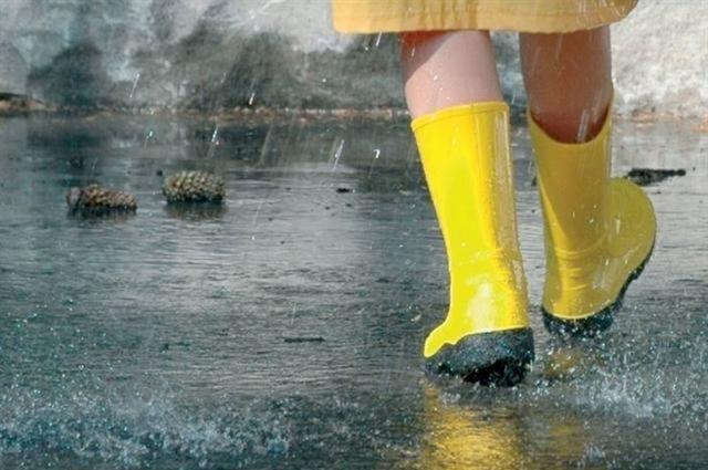 Прогноз погоди на 4 вересня: майже на всій території України пройдуть дощі (КАРТА)