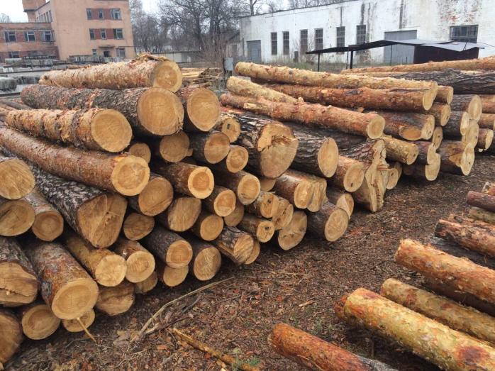 Приняв решение о моратории на экспорт леса-кругляка, Украина нарушила Соглашение об ассоциации с ЕС — вице-премьер