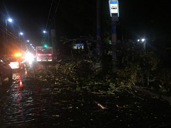 У Чернівцях раптова буря поламала дерева та пошкодила автомобілі (ФОТО)