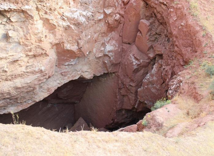 У туркменській печері знайшли невідому науці тварину (ФОТО)