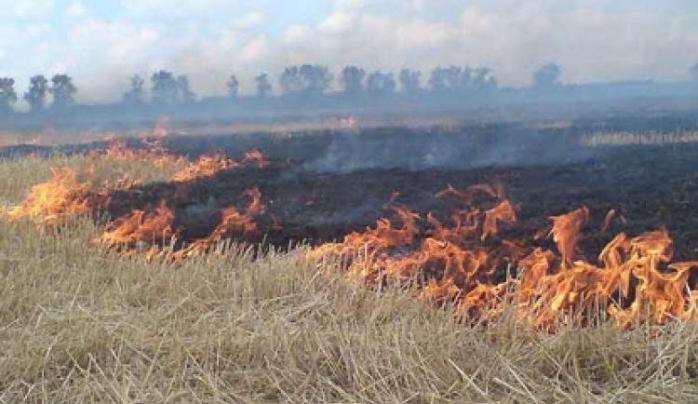 Пожар на складах боеприпасов под Мариуполем: в ВСУ говорят о поджоге