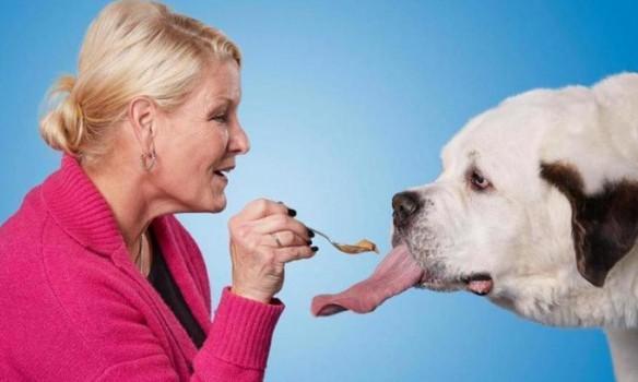 В Книгу рекордов Гиннеса попала собака с самым длинным языком (ФОТО, ВИДЕО)