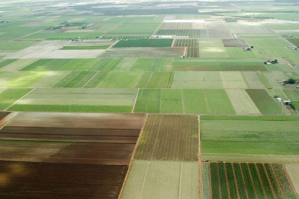 Иран намерен арендовать сельскохозяйственные угодья в Украине